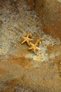 Brincos Starfish